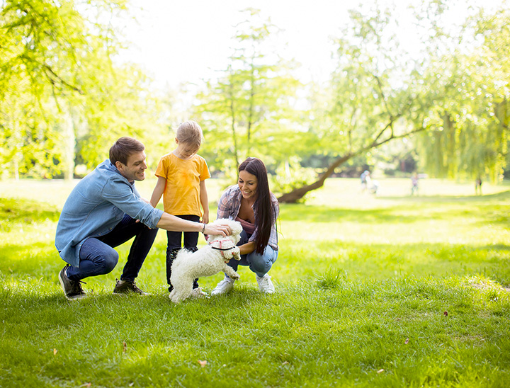 Image of young family in a green open space